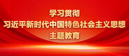 靠女人的逼污污视频免费看学习贯彻习近平新时代中国特色社会主义思想主题教育_fororder_ad-371X160(2)